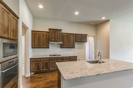 New construction Single-Family house 1010 Texas Ash Lane, Georgetown, TX 78628 - photo 8 8