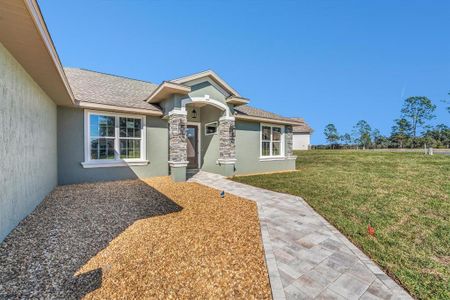 New construction Single-Family house 17887 Sw 72Nd Street Road, Dunnellon, FL 34432 - photo 4 4