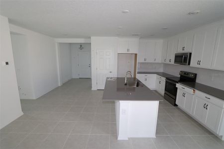 New construction Single-Family house 9208 Westernwoods Avenue, Parrish, FL 34219 Palisades- photo
