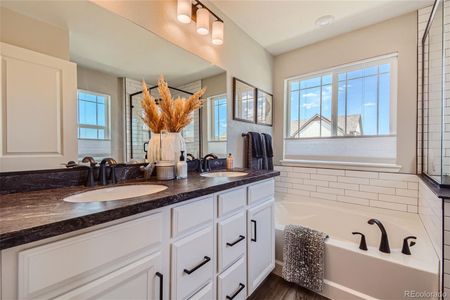 New construction Single-Family house 17612 Rose Heath, Parker, CO 80134 - photo 11 11