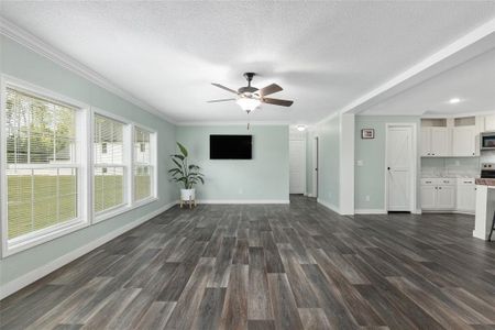 New construction Single-Family house 14533 Nw 214Th Terrace, High Springs, FL 32643 - photo 9 9