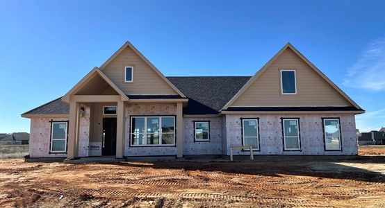 New construction Single-Family house 5001 Cottontail Court, Springtown, TX 76082 - photo