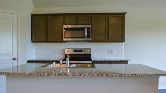 New construction Single-Family house 1900 Willow Creek Road, Lancaster, TX 75146 - photo 6 6