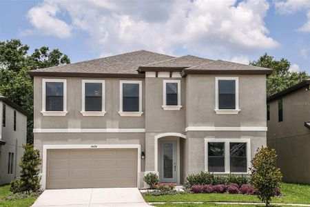 New construction Single-Family house 14852 Summer Branch Drive, Lithia, FL 33547 - photo 0