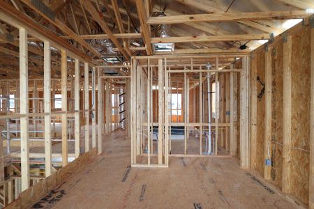 New construction Single-Family house 32556 Sapna Chime Drive, Wesley Chapel, FL 33545 Dali- photo 43 43