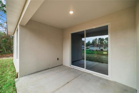 New construction Single-Family house 12946 Sw 81St Avenue, Ocala, FL 34473 - photo 19 19