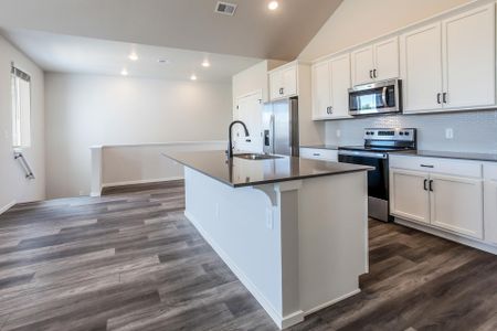 New construction Condo/Apt house 2908 Conquest Street, Fort Collins, CO 80524 - photo 9 9