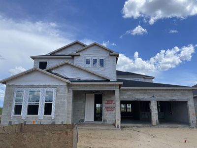 New construction Single-Family house 16886 Muskgrass Drive, Winter Garden, FL 34787 Wentworth - Manor Series- photo 6 6