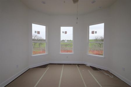 New construction Single-Family house 11905 Shimmering Sea Dr, Austin, TX 78747 Braford - Capital Series- photo 5 5