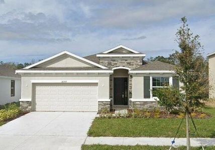 New construction Single-Family house 16988 Oval Rum Drive, Wimauma, FL 33598 - photo 0