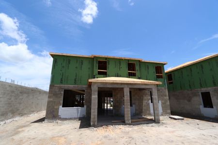 New construction Single-Family house 31852 Sapna Chime Drive, Wesley Chapel, FL 33545 Renau- photo 15 15