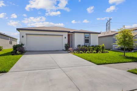 New construction Single-Family house 10112 Daybreak Glen, Parrish, FL 34219 - photo 1 1