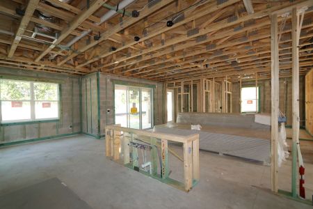 New construction Single-Family house 12114 Hilltop Farms Drive, Dade City, FL 33525 Alenza- photo 91 91