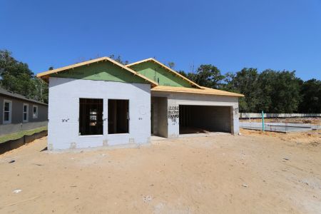 New construction Single-Family house 12032 Hilltop Farms Drive, Dade City, FL 33525 Marque- photo 22 22
