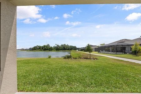New construction Single-Family house 12854 Boggy Creek Drive, Riverview, FL 33579 - photo 73 73