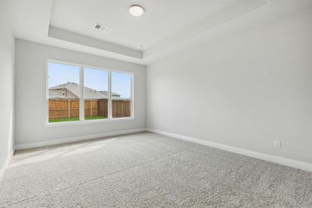 New construction Single-Family house 1629 Cloud Cover View, Weston, TX 75009 Lakefront- photo 11 11