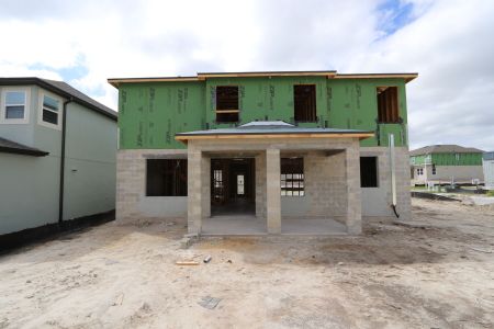 New construction Single-Family house 9358 Crescent Ray Drive, Wesley Chapel, FL 33545 Renau- photo