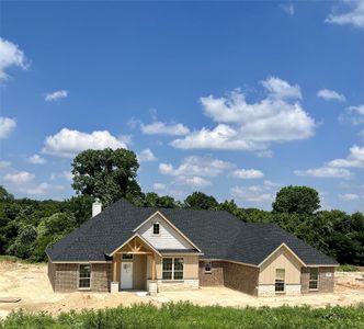 New construction Single-Family house 1049 Gonzollas Road, Springtown, TX 76082 - photo 0