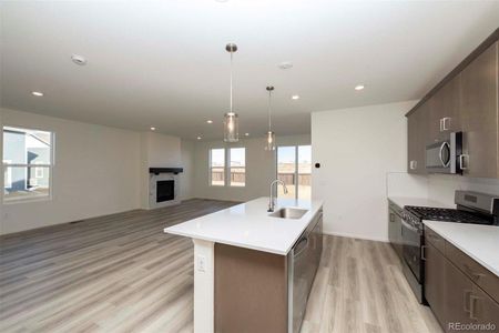 New construction Single-Family house 3388 Boral Owl Drive, Brighton, CO 80601 2583- photo 6 6