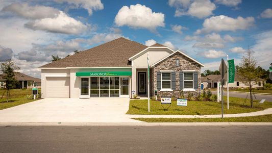 New construction Single-Family house 4996 Lyric Drive, Groveland, FL 34736 - photo 0