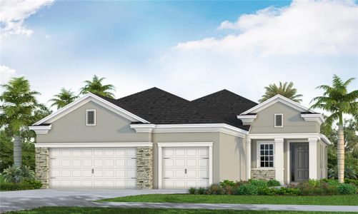 New construction Single-Family house 10119 Hammock Brook Drive, Parrish, FL 34219 - photo 0