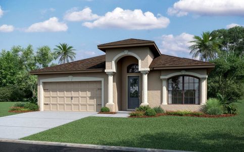 New construction Single-Family house Positano, 11328 Weaver Hollow Road, New Port Richey, FL 34654 - photo