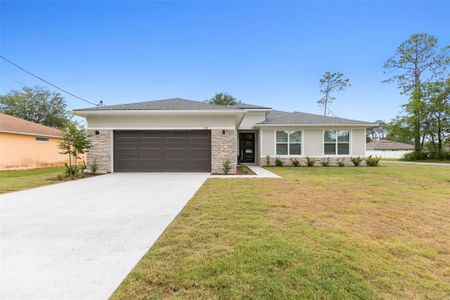 New construction Single-Family house 42 Birchwood Drive, Palm Coast, FL 32137 - photo 0