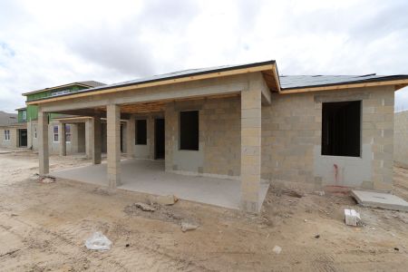 New construction Single-Family house 31843 Sapna Chime Drive, Wesley Chapel, FL 33545 Picasso- photo 17 17