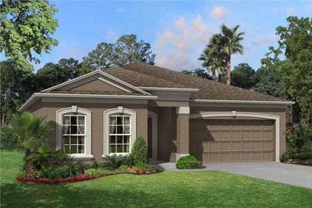 New construction Single-Family house 31979 Sapna Chime Drive, Wesley Chapel, FL 33543 - photo 0 0