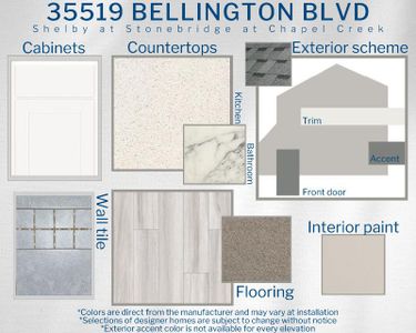 New construction Single-Family house 35519 Bellington Blvd, Zephyrhills, FL 33541 Shelby- photo 3 3
