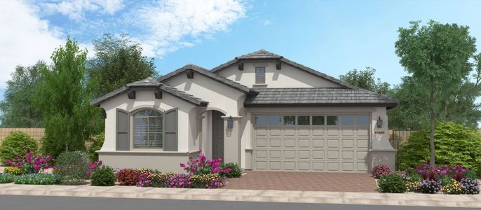 New construction Single-Family house 10008 W. Cora Ln., Avondale, AZ 85392 Oracle Oaks- photo 0