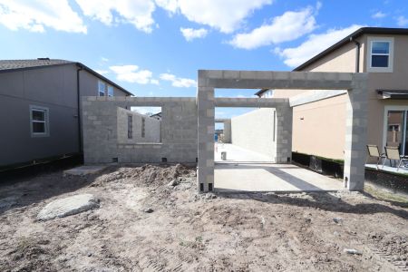 New construction Single-Family house 2852 Misty Marble Drive, Zephyrhills, FL 33540 Castellana- photo 7 7