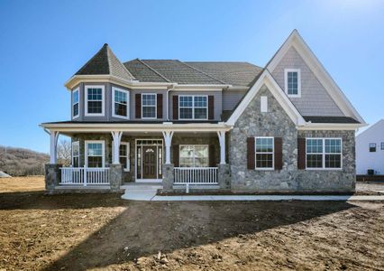 New construction Single-Family house Wilbanks Drive, Charlotte, NC 28278 - photo 244 244