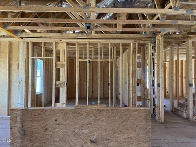 New construction Single-Family house 92 Woodbark Cove, Unit Lot 14, Willow Spring, NC 27592 - photo 8 8