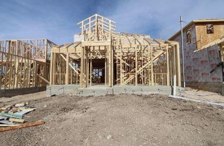 New construction Single-Family house 820 Long Run, Liberty Hill, TX 78642 Walton- photo 5 5