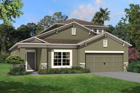 New construction Single-Family house Newport II Bonus, 10805 Rolling Moss Road, Tampa, FL 33647 - photo