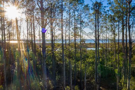 New construction Single-Family house 1702 Cultivation Lane Street, Unit 540, Mount Pleasant, SC 29466 - photo 74 74