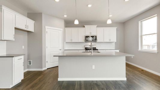 New construction Single-Family house 4355 Cattle Cross Trl, Castle Rock, CO 80104 Holcombe- photo 12 12