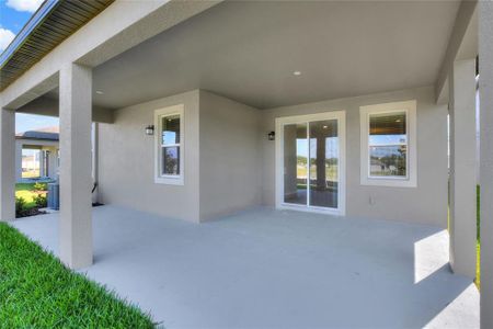 New construction Single-Family house 4794 Beachrose Way, Lakeland, FL 33811 Picasso- photo 37 37