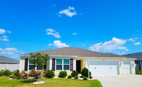 New construction Single-Family house 1628 Punta Rassa Ln, The Villages, FL 32163 - photo 0