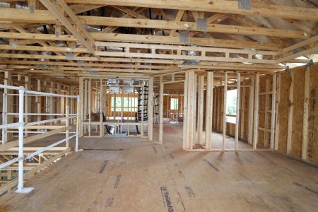 New construction Single-Family house 7690 Hemlock Seed Drive, Wesley Chapel, FL 33545 Sonoma II- photo 30 30