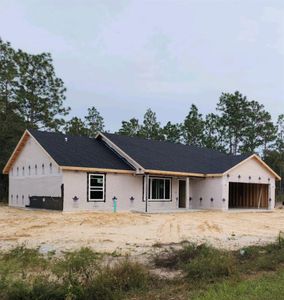 New construction Single-Family house 57 Sw Lombardy Lane, Dunnellon, FL 34431 - photo 0