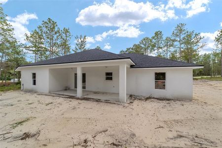 New construction Single-Family house 13359 Sw 80Th Street, Dunnellon, FL 34432 - photo 36 36