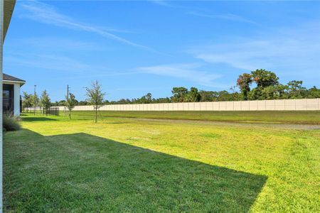 New construction Single-Family house 6239 Woodhaven Village Drive, Port Orange, FL 32128 - photo 50 50