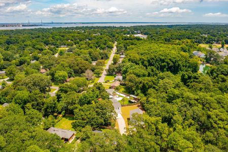 New construction Single-Family house 916 Dills Bluff Road, Charleston, SC 29412 - photo 32 32