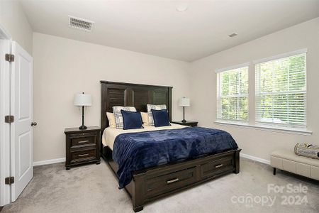 New construction Single-Family house 3032 Whipcord Drive, Unit 739, Waxhaw, NC 28173 - photo 22 22