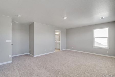 New construction Single-Family house 13615 Topaz Place, Mead, CO 80504 BELLAMY- photo 22 22
