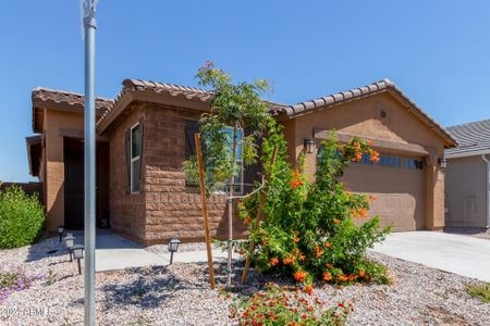 New construction Single-Family house 2642 W Hidalgo Avenue, Phoenix, AZ 85041 - photo 5 5