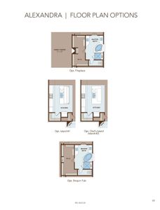 New construction Single-Family house Regal Series - Alexandra, 1007 Franklin Drive, Mansfield, TX 76063 - photo