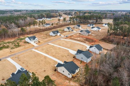 New construction Single-Family house 181 Andrews Landing Drive, Wendell, NC 27591 - photo 30 30